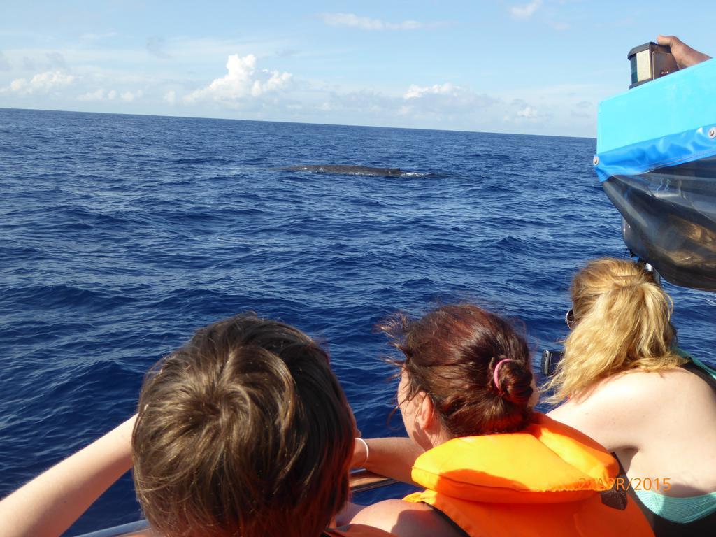 Paradise Beach Resort & Diving School Мириса Екстериор снимка